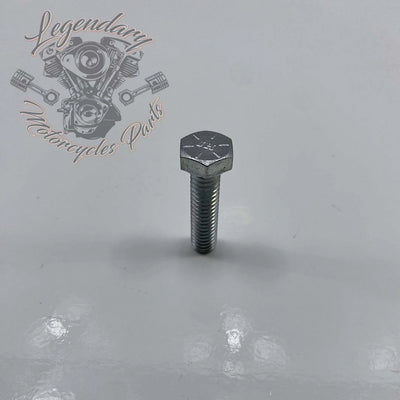 Front Fender Security Plate Screw OEM 3462
