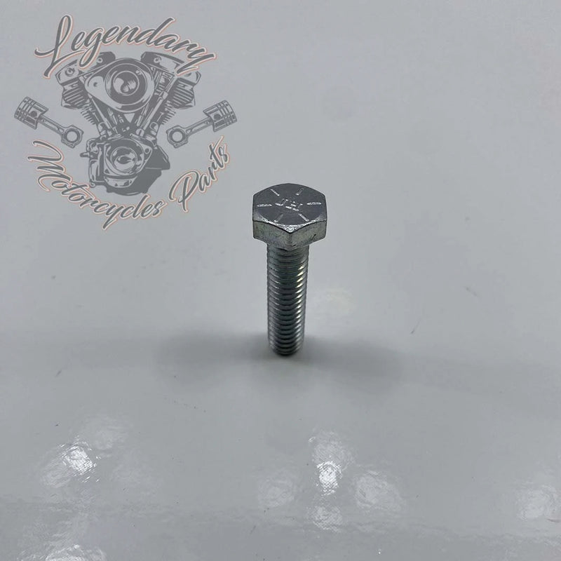 Front Fender Security Plate Screw OEM 3462