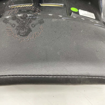 Rugleuning van Tour-Pak OEM 52300314