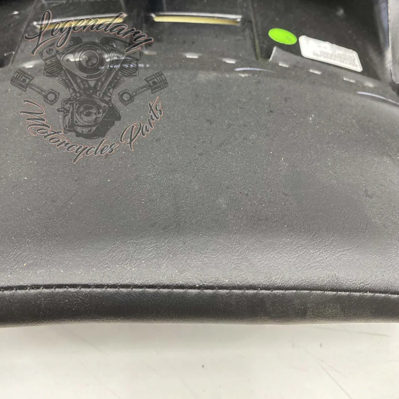 Rugleuning van Tour-Pak OEM 52300314