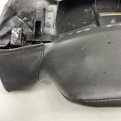 Rugleuning van Tour-Pak OEM 52300314