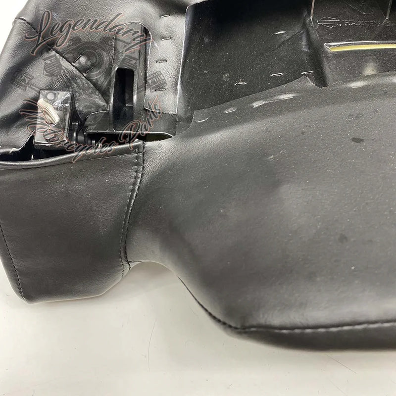 Rugleuning van Tour-Pak OEM 52300314