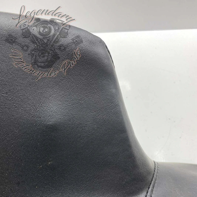 Rugleuning van Tour-Pak OEM 52300314