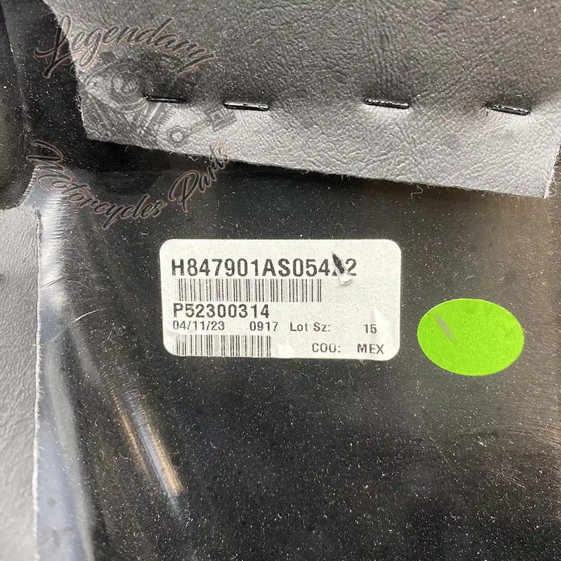 Rugleuning van Tour-Pak OEM 52300314