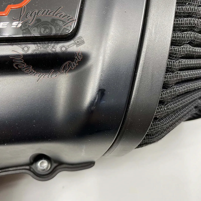 Filtre à air OEM 29000213