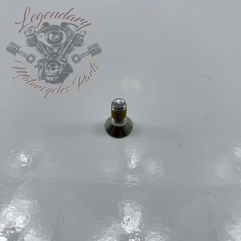 1/4-20 x 5/8 Screw OEM 3793A