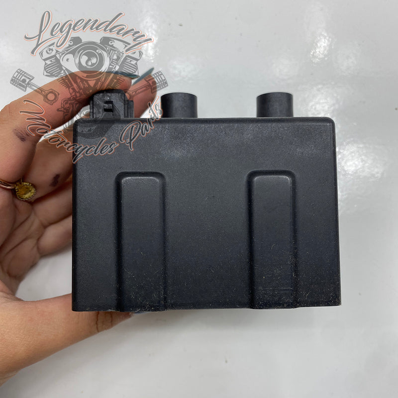Bobina di accensione doppia OEM 31639-95