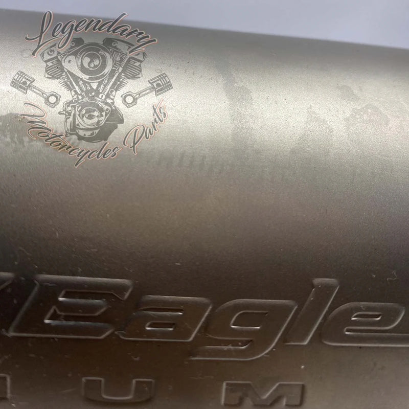 Linea completa con silenziatore Screamin Eagle OEM 64900760