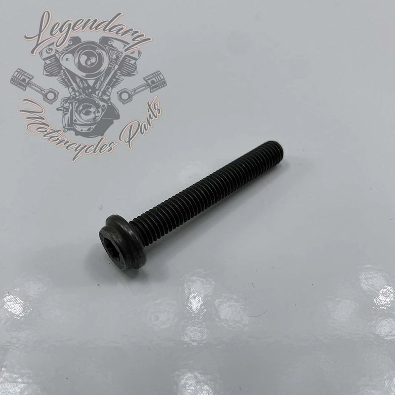 Water pump screw M8 X 1.25 X 55 OEM 1023M