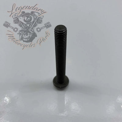 Water pump screw M8 X 1.25 X 55 OEM 1023M