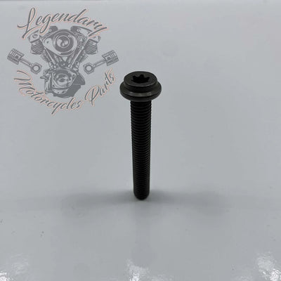Water pump screw M8 X 1.25 X 55 OEM 1023M
