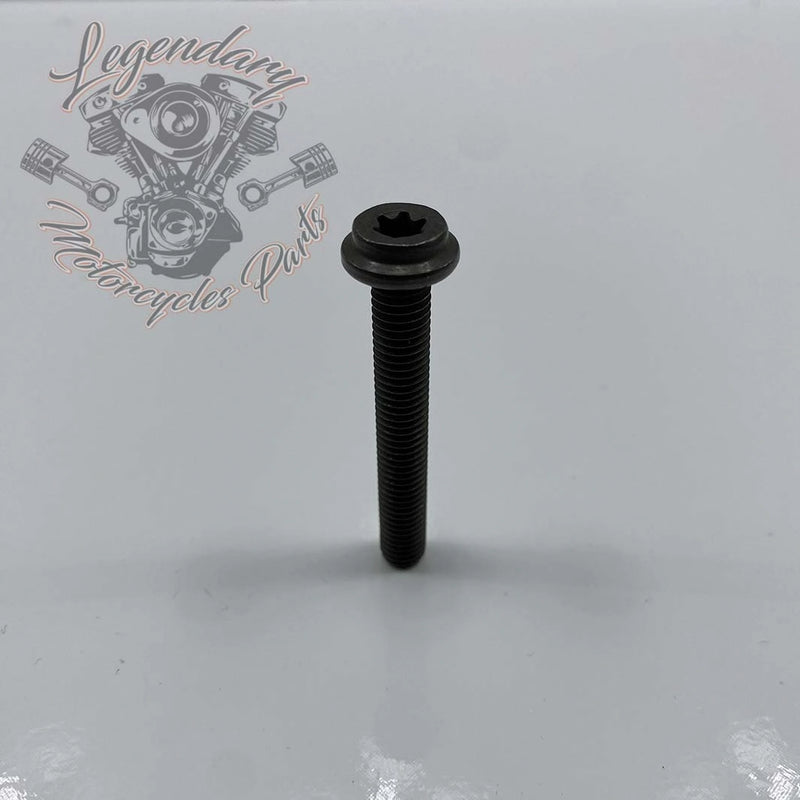Water pump screw M8 X 1.25 X 55 OEM 1023M