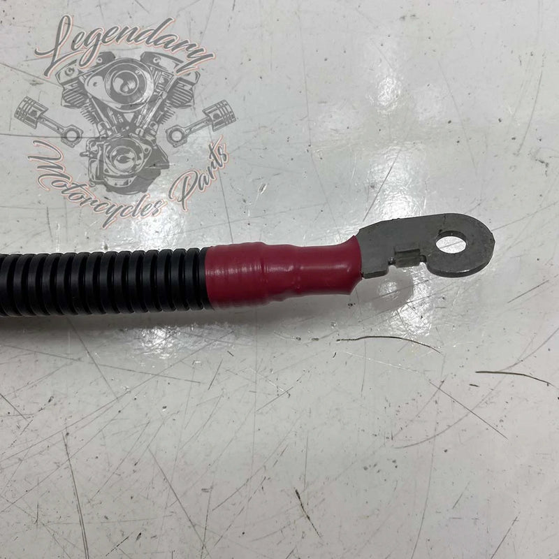 Cavi della batteria OEM 70079-94