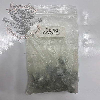 Parafuso de garfo 5/16-24 X 3/8 OEM 2823