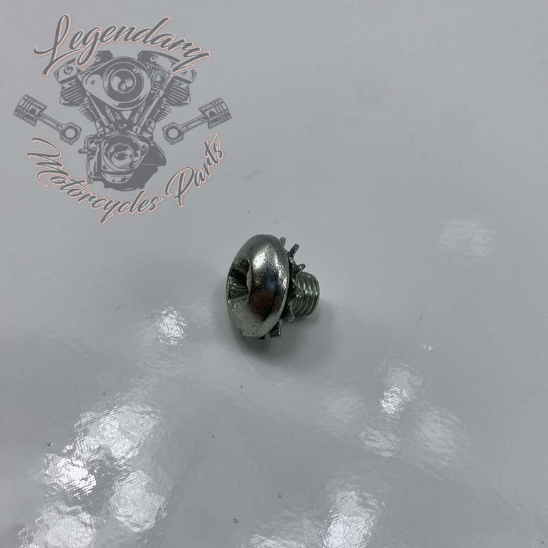 Parafuso de garfo 5/16-24 X 3/8 OEM 2823