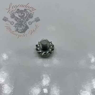 Parafuso de garfo 5/16-24 X 3/8 OEM 2823