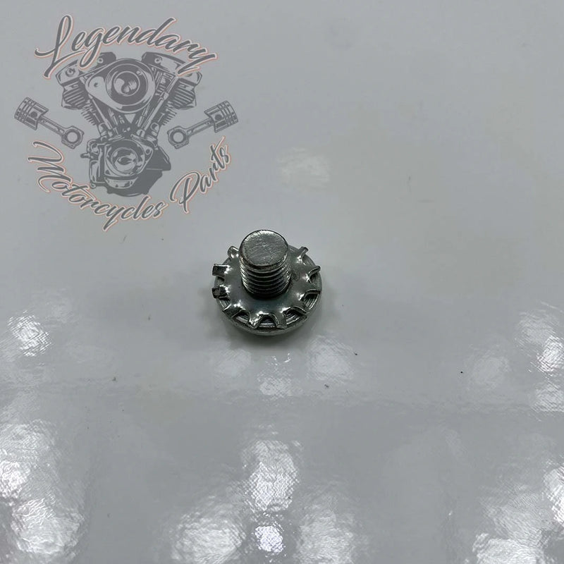 Parafuso de garfo 5/16-24 X 3/8 OEM 2823