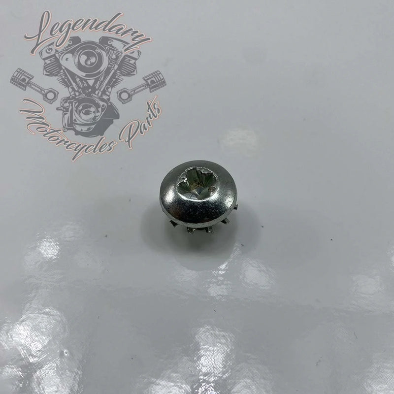 Parafuso de garfo 5/16-24 X 3/8 OEM 2823