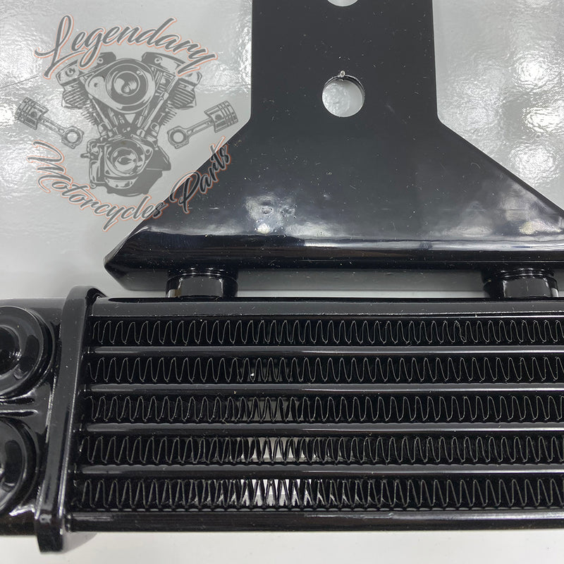 Kit de enfriamiento de aceite OEM 62871-99