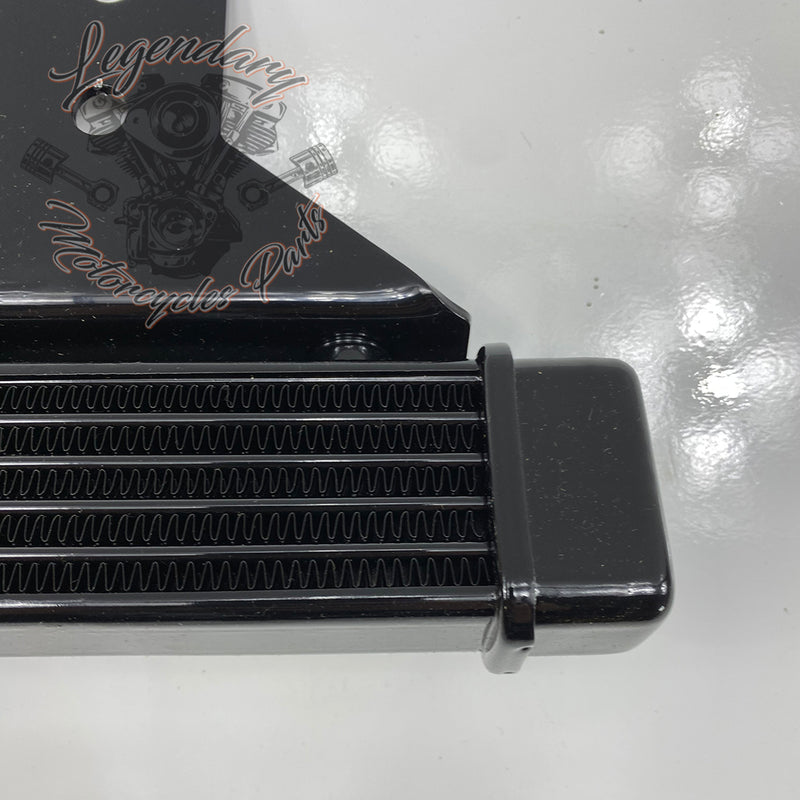 Kit de enfriamiento de aceite OEM 62871-99