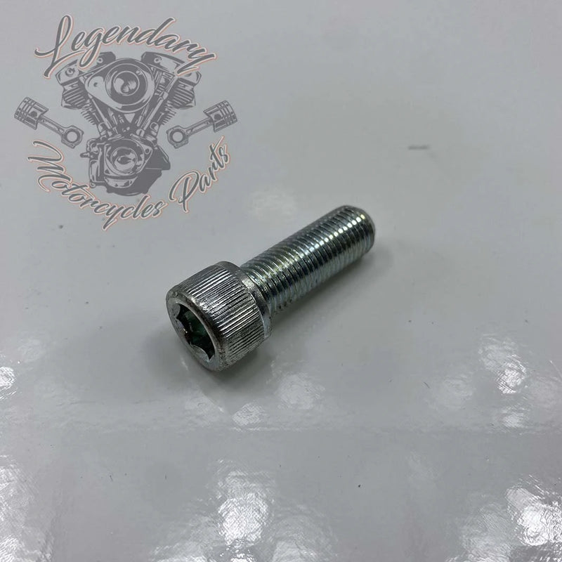 Tornillo del eje del basculante OEM 2892