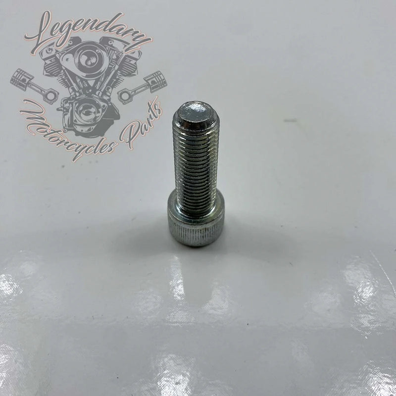 Tornillo del eje del basculante OEM 2892