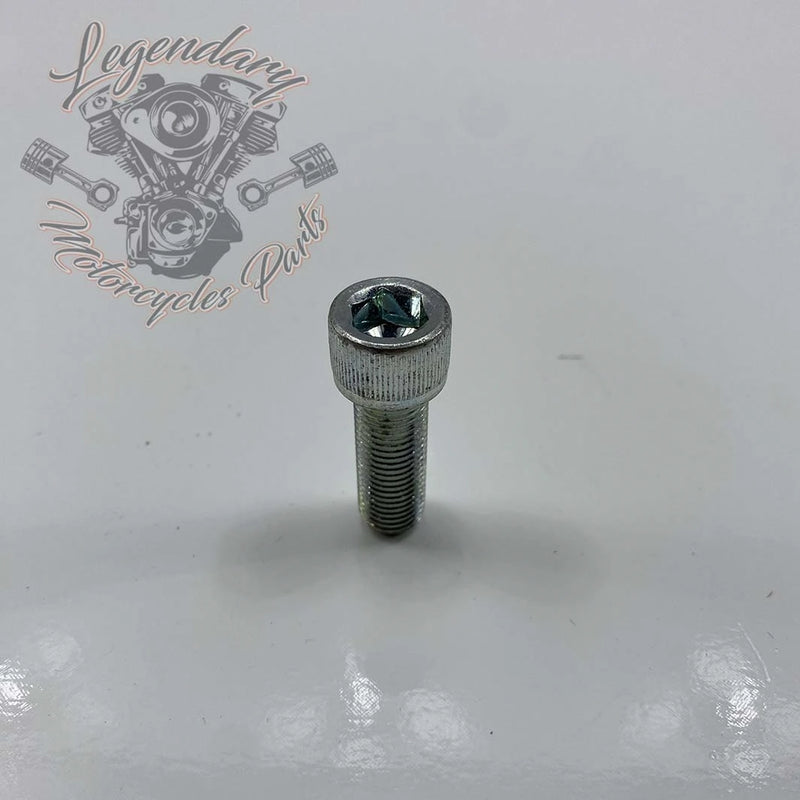 Tornillo del eje del basculante OEM 2892