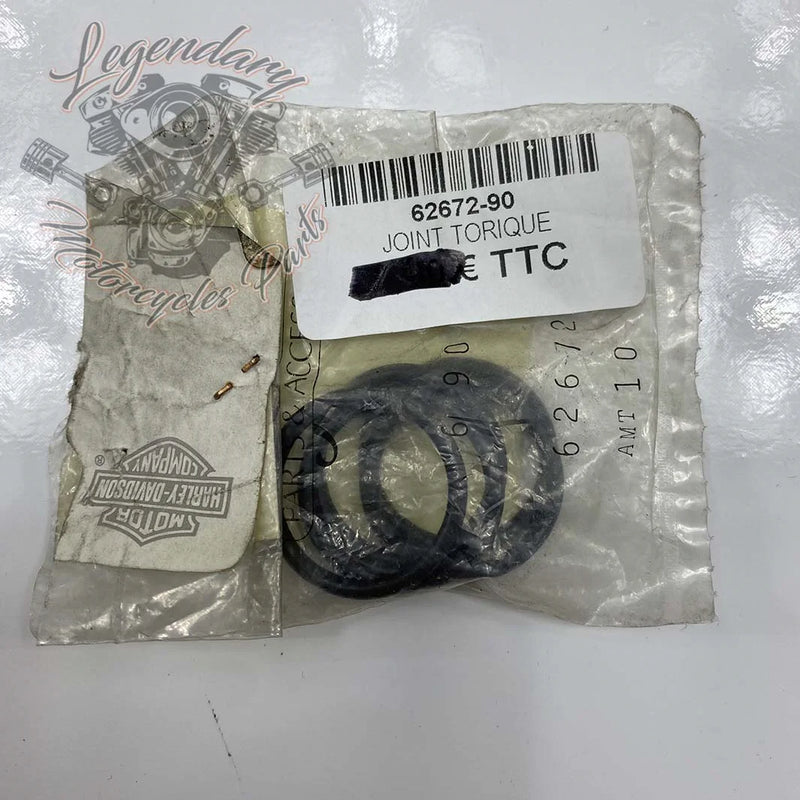 Oil level gauge O-ring OEM 62672-90