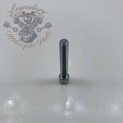 Lower Rocker Cover Screw /4-20 X 1-1/2 OEM 3481