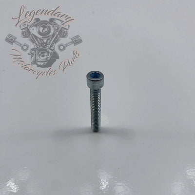 Lower Rocker Cover Screw /4-20 X 1-1/2 OEM 3481