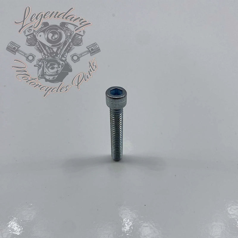 Lower Rocker Cover Screw /4-20 X 1-1/2 OEM 3481