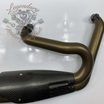 Linea completa con silenziatore Screamin Eagle OEM 64900760