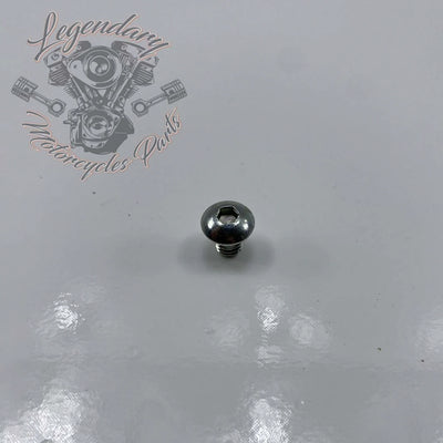Tornillo Vis 1/4-20 x 3/8" OEM 3652