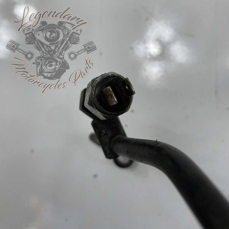 Rear Brake Hose OEM 41800012