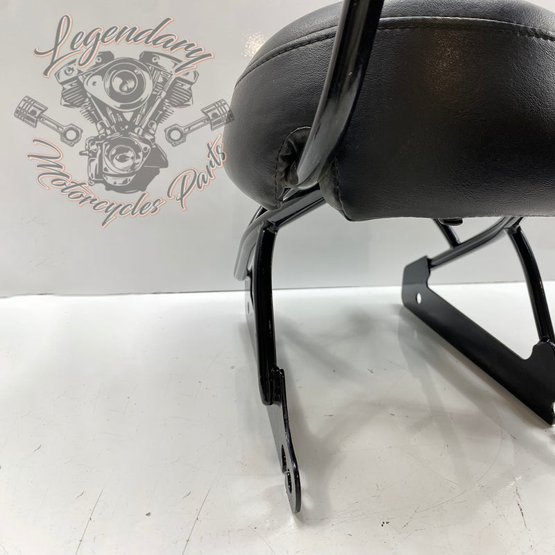 Porte-bagages et selle passager OEM 52796-09