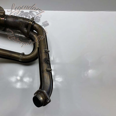 Linea completa con silenziatore Screamin Eagle OEM 64900760