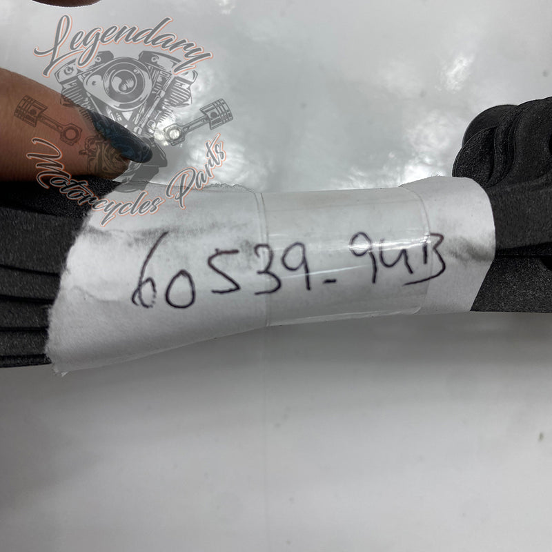 Joint de carter primaire OEM 60539-94B