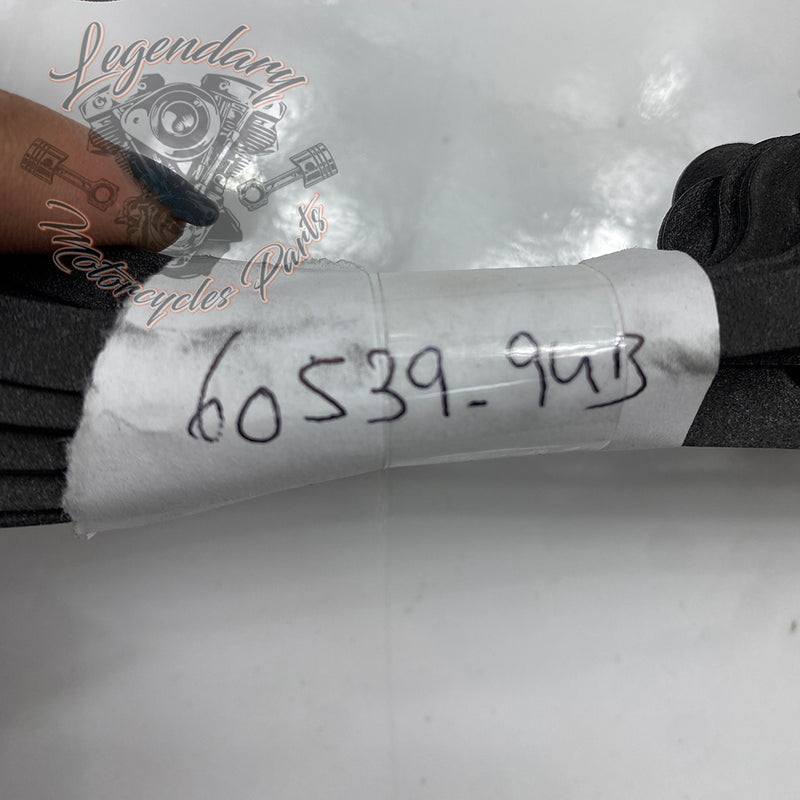 Joint de carter primaire OEM 60539-94B