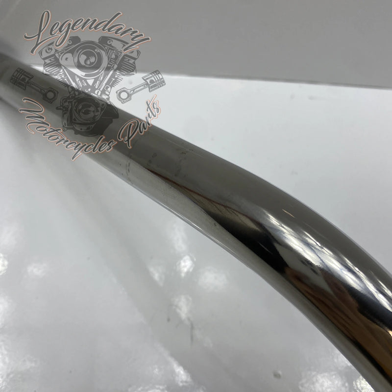 Guidon