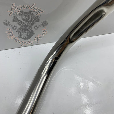 Guidon