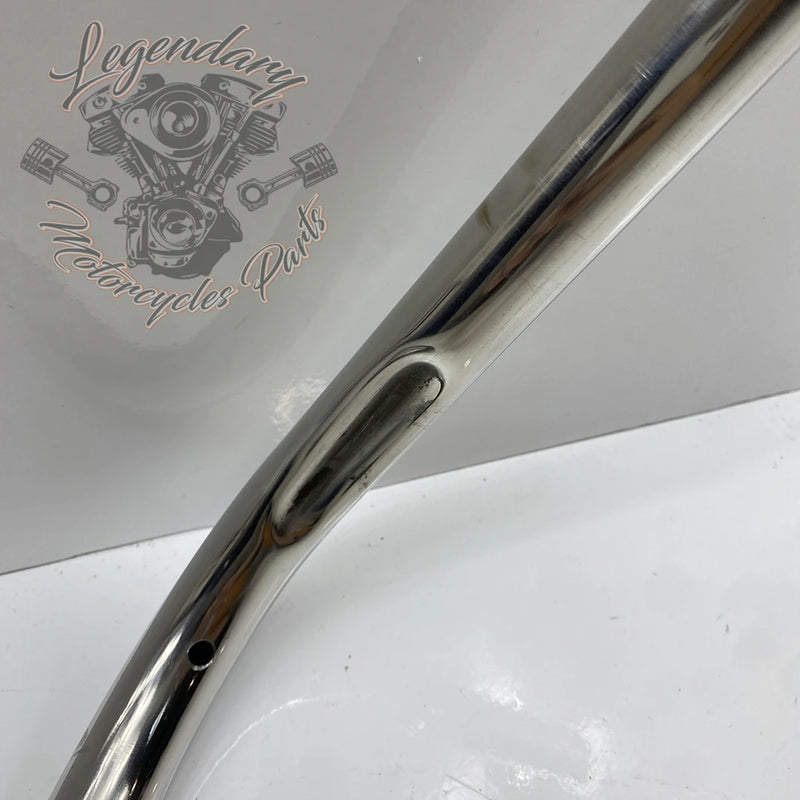Guidon