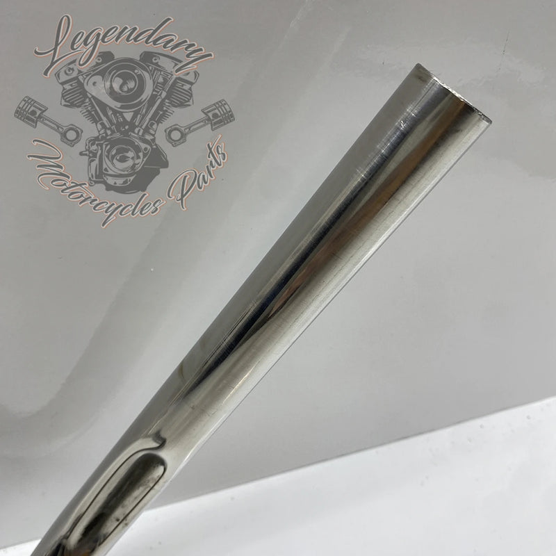 Guidon