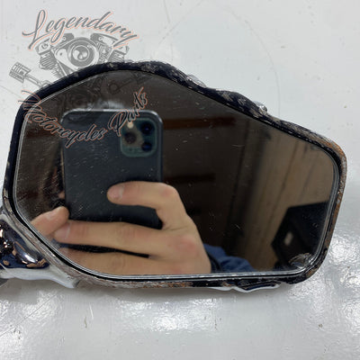 Specchio retrovisore destro scheletro