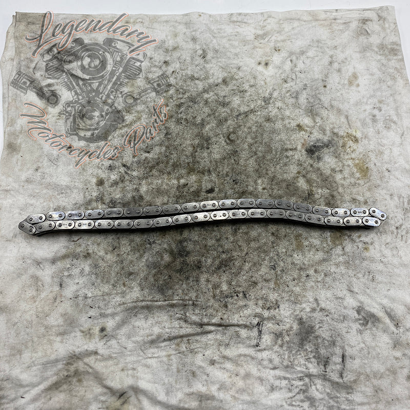 Primary Chain OEM 40037-79A