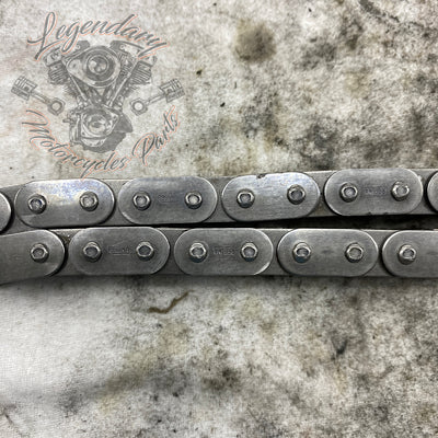 Primary Chain OEM 40037-79A