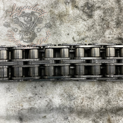 Primary Chain OEM 40037-79A
