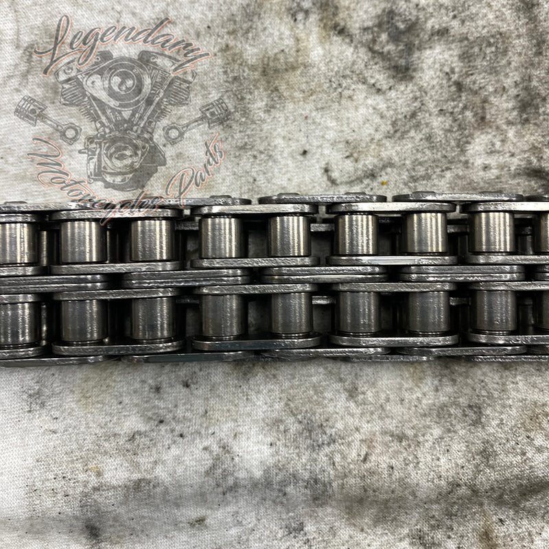 Primary Chain OEM 40037-79A