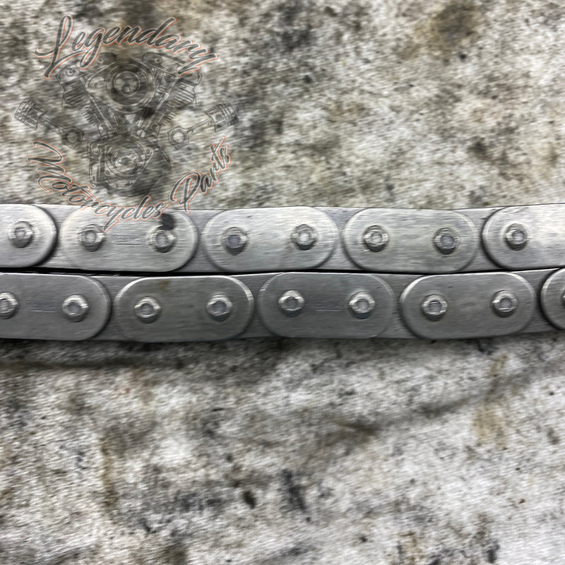 Primary Chain OEM 40037-79A