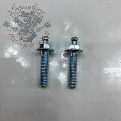 Tornillo de ventilación estilo original