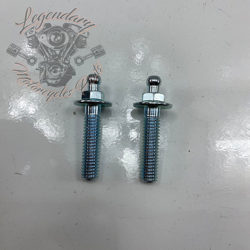 Tornillo de ventilación estilo original